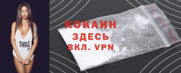 стаф Абаза