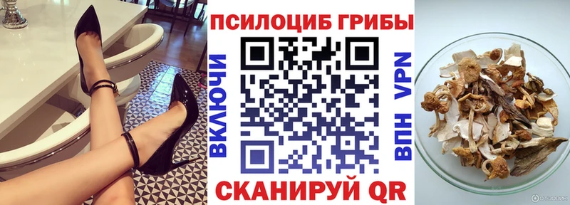 что такое наркотик hydra ONION Галлюциногенные грибы GOLDEN TEACHER Темников