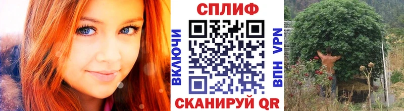 Бошки марихуана SATIVA & INDICA  Темников 